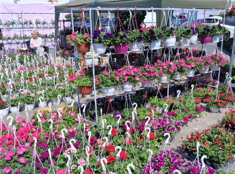 Natura mai aproape de oameni. AGRI Flora, în week-end, în parcarea de la VIVO!