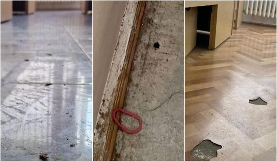 Cămine studențești lăsate de izbeliște. Ministerul Educației nu are bani de renovări