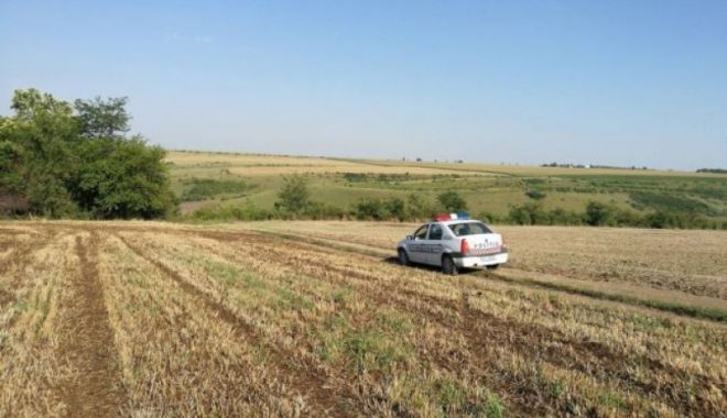 Copil abandonat pe câmp. Poliția cere ajutorul populației pentru a găsi părinții - camp-1590219918.jpg