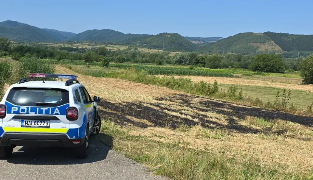 O adolescentă a fost violată pe un câmpi. Un minor de 16 ani şi un tânăr de 18 ani, reţinuţi - camp-1766065272.webp