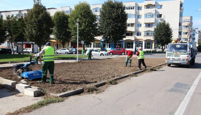 Campanie de plantare a copacilor, în Mangalia - campaneideplantaremangalia2-1444313657.jpg