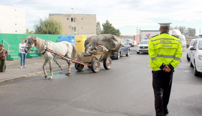 Campania de ridicare a căruțelor continuă. 
