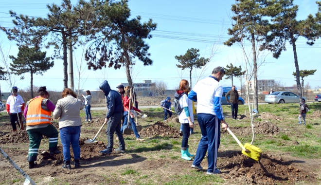 Se amână activitatea de plantare din week-end, de la Peștera - campanieplantarecopacimangalia14-1478689332.jpg