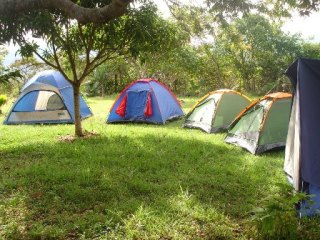 La Murfatlar vor fi amenajate zone de camping - camping-1346262241.jpg