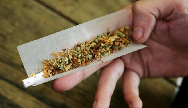 Tânăr din București, prins cu cannabis la Mamaia - canabis-1499069760.jpg