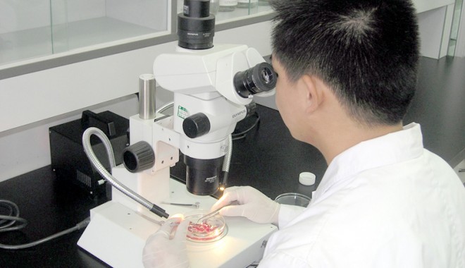 A fost descoperit un factor de risc genetic pentru cancerul de piele, prostată și cerebral - cancerlaborator-1317060623.jpg
