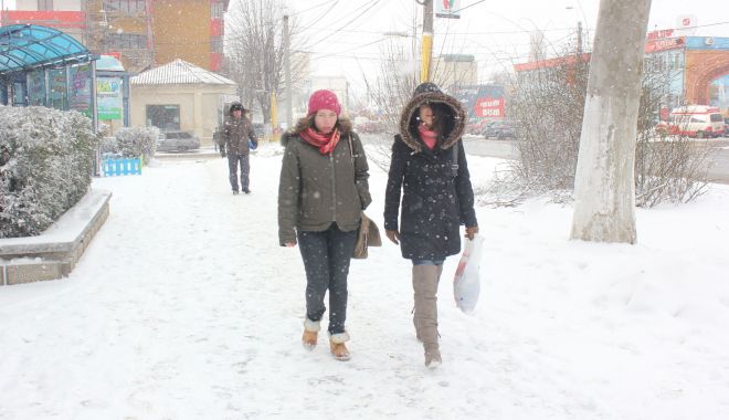 Când vine primăvara, la malul mării şi în zona Dobrogei - candvineprimavara-1646160418.jpg