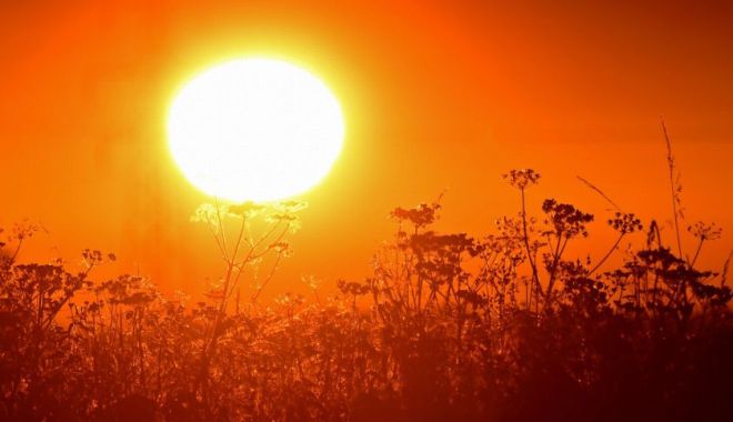 Cod galben de caniculă în Constanța și 22 de județe. Vor fi până la 37 de grade Celsius - canicula-1593756694.jpg