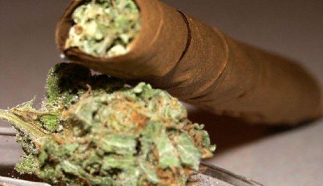 Traficantul de droguri prins lângă Liceul Virgil Madgearu ținea drogurile sub pat! - cannabis-1383299936.jpg