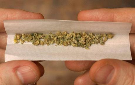 Crima Organizată a prins o rețea care vindea droguri studenților din Constanța  (VIDEO) - cannabis460873120c8-1326380434.jpg