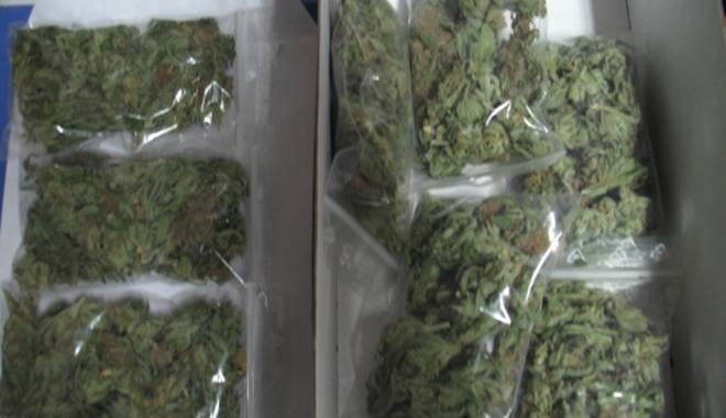 Cannabis adus din Spania, vândut drogaților din Constanța - cannabisspania13-1424015326.jpg