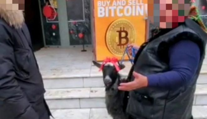 Capră scoasă la vânzare pe bitcoin de o pensionară din Focşani: 