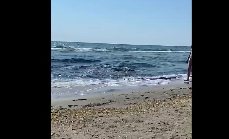 Panică în Mamaia Nord. Apa mării a devenit suspectă, iar turiștii au sunat la 112 - capture-1783941172.webp