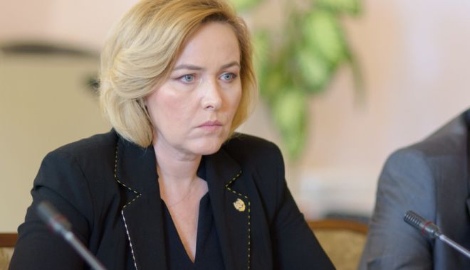 Cetățenii vor putea depune online cereri pentru pasaport și cartea de identitate - carmendan-1562850682.jpg