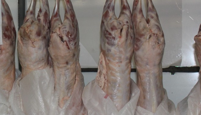 Românii au sacrificat în august mai puține animale și păsări - carne-1381228319.jpg