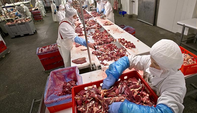 ANOFM. 454 locuri de muncă vacante în Spațiul Economic European - carne-1467305122.jpg