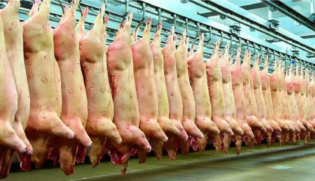 Suspiciuni de practici incorecte în comerțul cu carne de porc. Ministrul Agriculturii cere controale - carnedeporc1068x601-1773325161.webp