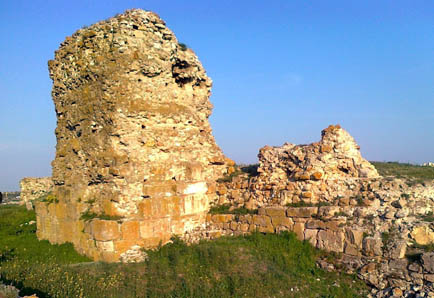 Cetatea Carsium din nou în centrul atenției - carsium-1404490425.jpg