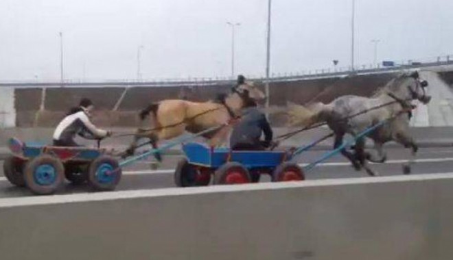 VIDEO/ Liniuță între căruțe pe Autostrada Soarelui - caruta011f250e223563217500-1361808106.jpg