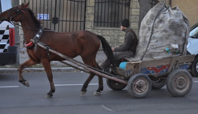 Ce au stabilit aleșii din Medgidia cu privire la circulația vehiculelor cu tracțiune animală - carutatigani31352129654135307168-1356611637.jpg