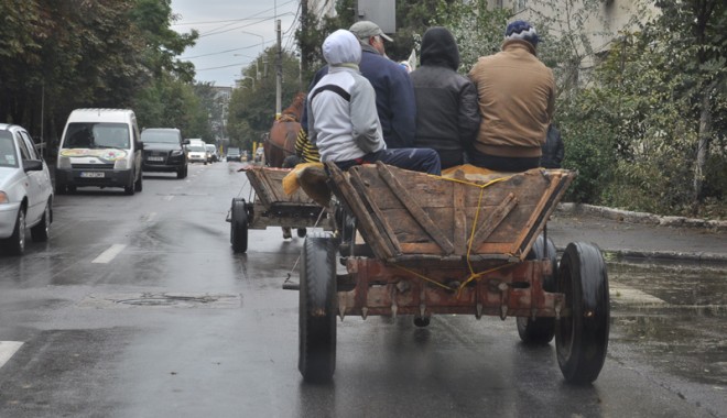 Căruțașii fac legea, polițiștii ridică din umeri - carutetiganiintrafic19-1330462166.jpg