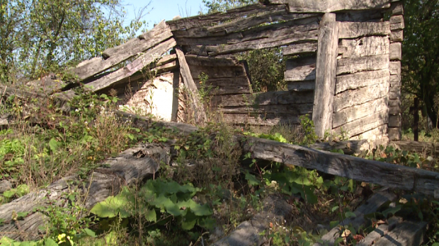AȘA NE PREȚUIM VALORILE! Casa lui Brâncuși din Hobița a ajuns coteț pentru păsări - casabrancusi149593300-1539240766.jpg