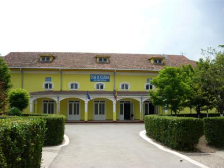 Cumpăna sărbătorește tinerețea și iubirea - casadeculturacumpana-1361540972.jpg