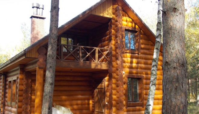 La fiecare 28 de secunde, în Alpi crește lemn cât pentru a construi o casă - casalemn-1395994742.jpg