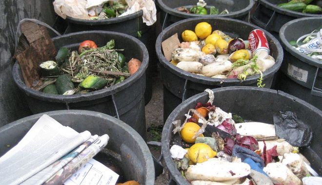 Cât de mare este risipa de alimente în România? - catdemareesterisipadealimenteinr-1651741601.jpg