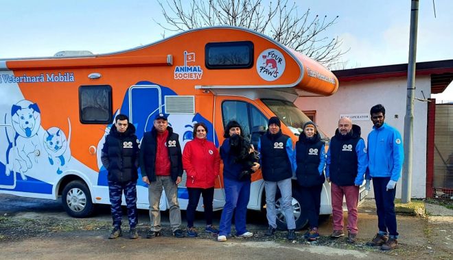 Peste 700 de animale au fost sterilizate în ultima lună la Constanța - catei-1615791635.jpg