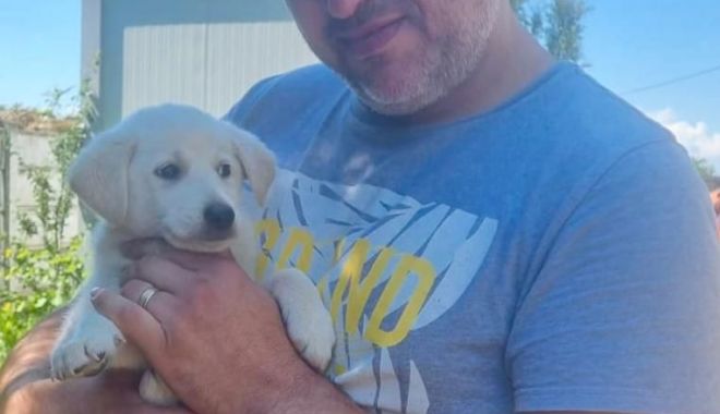 Adoptaţi un cățel de la Adăpostul pentru animale abandonate! Oferiţi-le un cămin!