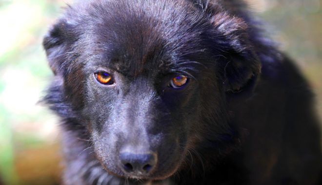 Nera visează cu ochii deschiși la o familie care s-o iubească