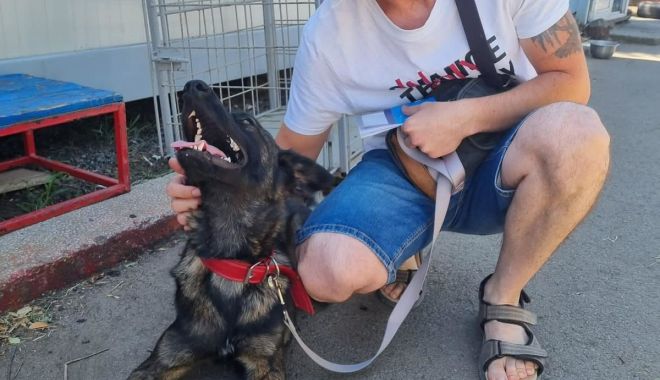 Roxi a primit o nouă șansă la viață. Alți cățeluși așteaptă să fie adoptați