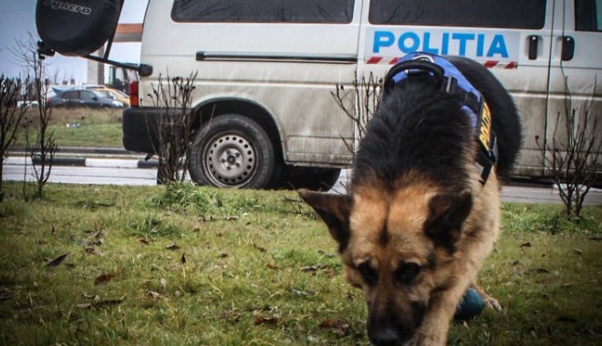 Bărbat dat dispărut după ce a plecat să se plimbe singur, căutat de zeci de polițiști - catelpol56838000-1473239310.jpg