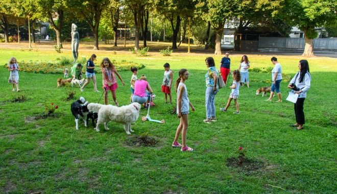 Şase câini fără stăpân, adoptaţi într-o singură zi