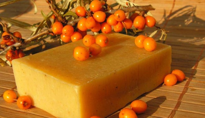 Cătina, sursă sigură de vitamine - catinabig1-1349106410.jpg