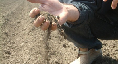 Fermierii constănțeni estimează pierderi de 800 de lei la hectarul de grâu - cbbda0778454f639ae7182a4ec209142.jpg