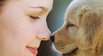 Animalele de companie, sprijin pentru bolnavi - ccdbb9fbcca8f11c96b11345e727367d.jpg