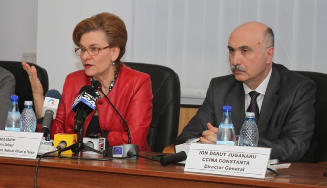 Ministrul Grapini, față cu hotelierii: cum va arăta impozitul forfetar? - ccinagrapini1-1368722933.jpg