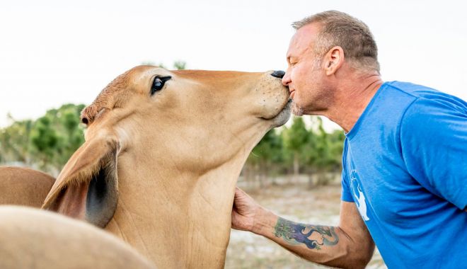 Ce animale văzuşi pe-acolo? - ce-animale-1697823080.jpg