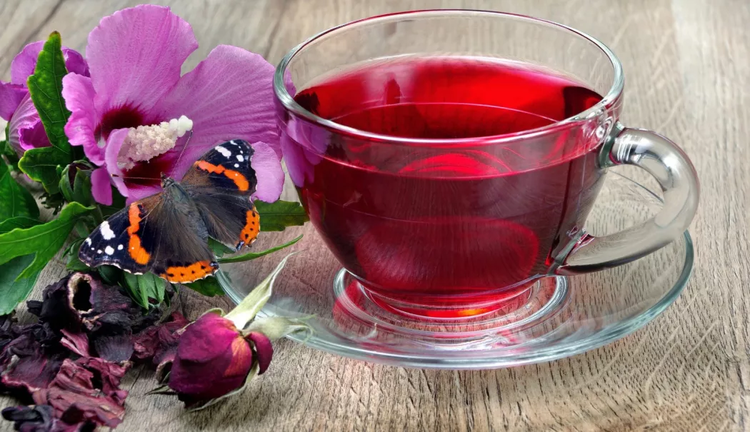 Ceaiul de hibiscus: aliat natural pentru tensiunea arterială? - ceai-1772384158.webp