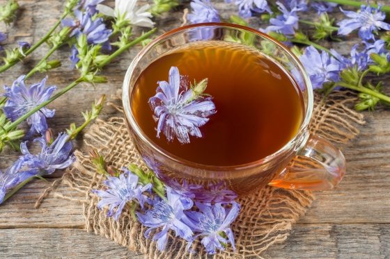Ceaiul de cicoare, băutura naturală cu multiple beneficii - ceai-de-cicoare-1759422741.jpg