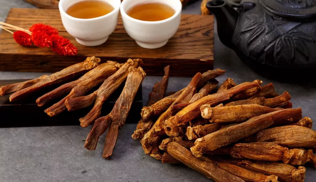 Ceaiul de ginseng ajută la combaterea oboselii și la creșterea energiei fizice - ceaiul-de-gingseng-1766918638.webp