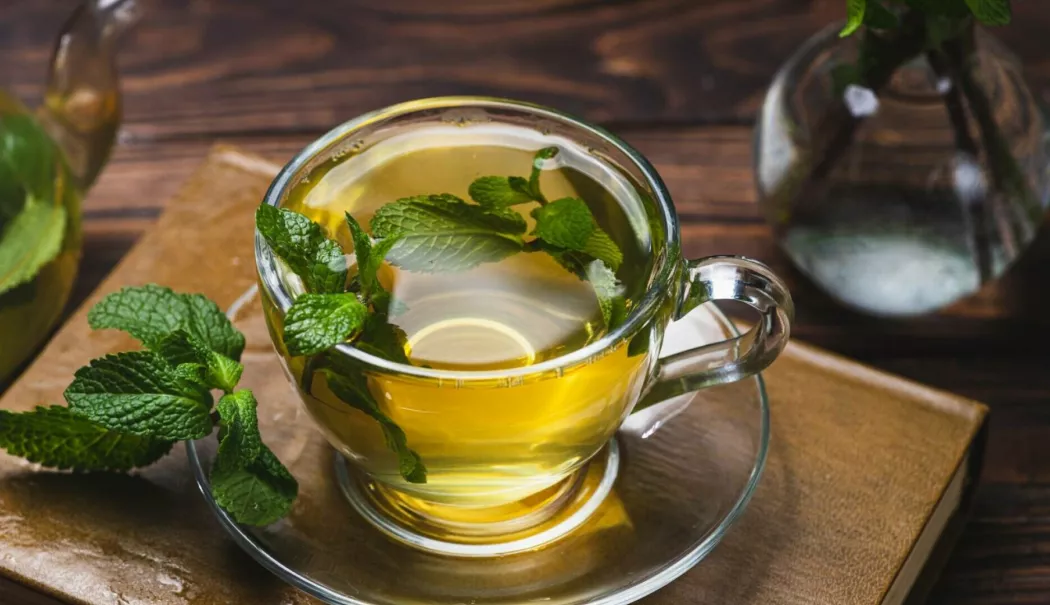 Ceaiul de mentă, aliatul natural pentru digestie și relaxare - ceaiul-de-menta-1767980485.webp