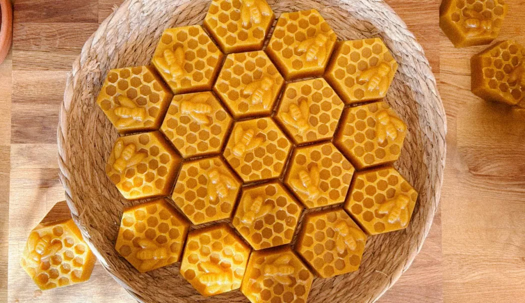 Ceara de albine, ingredientul natural care vă protejează pielea - ceara-de-albine-1770290809.webp