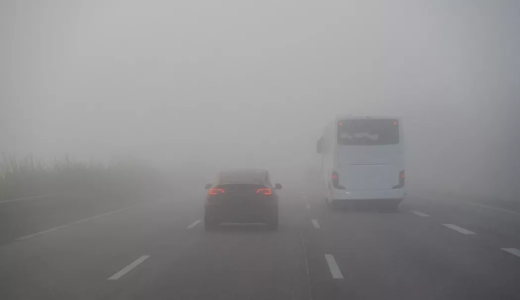 ANM a emis Coduri galbene de ceață valabile în 10 județe. Zonele vizate - ceata-1767685051.webp