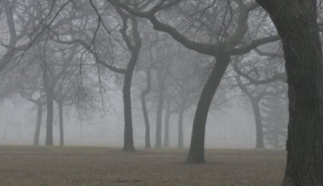 CONSTANȚA ESTE SUB COD GALBEN! Ce spun meteorologii - ceatapozabunapentruceata68815100-1525849592.jpg