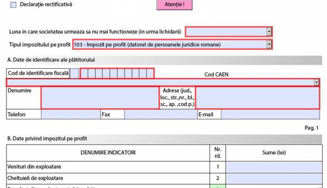 Ce declarații fiscale trebuie depuse până la 25 februarie - cedeclaratii-1455734976.jpg