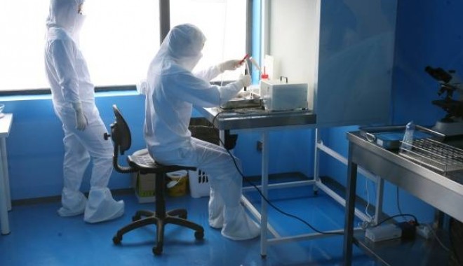 Două persoane arestate în scandalul traficului de ovule - celulestem0a7935d9c9-1361379513.jpg