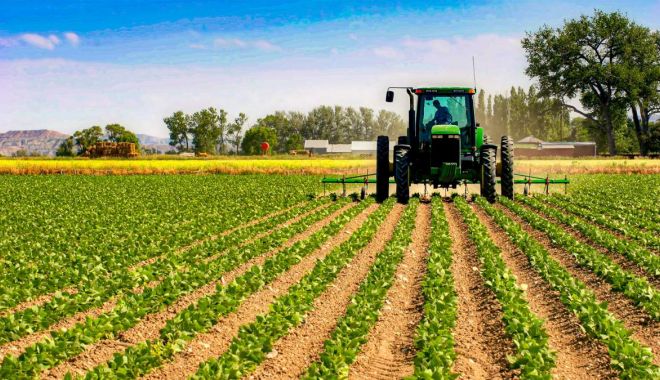 Ce programe agricole vor primi undă verde de la Guvern - ceprogrameagricole-1618304579.jpg